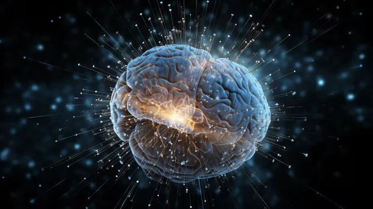 Crean el atlas más grande del cerebro que permitirá tratar y curar enfermedades mentales