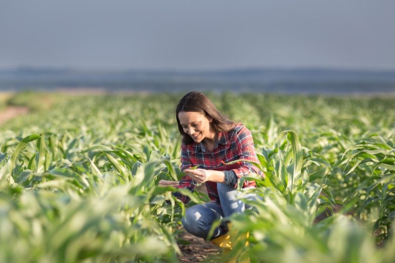 Ofrecen capacitación virtual gratuita a estudiantes orientadas a la agroindustria 