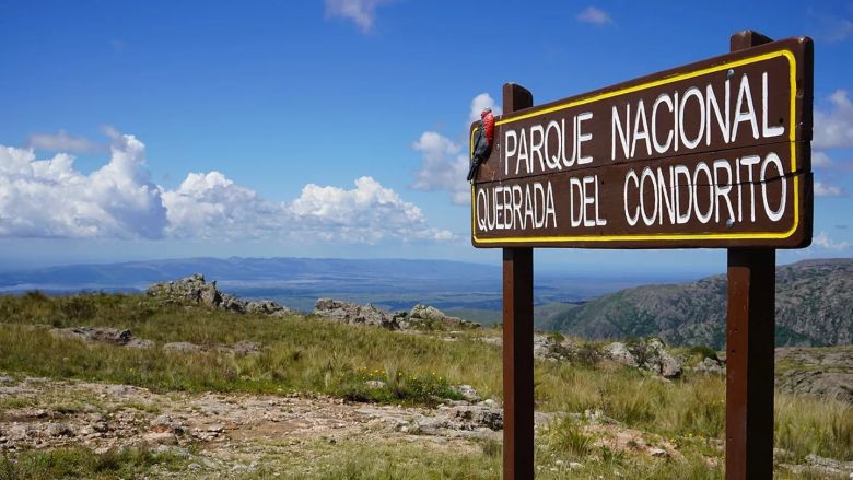 Aventura entre las Altas Cumbres de Córdoba: descubrí la Quebrada del Condorito