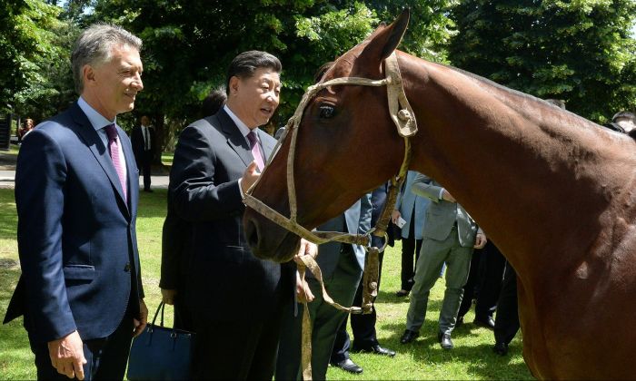 Un caballo de polo y dos bicicletas chinas: los regalos que intercambiaron Mauricio Macri y Xi Jinping