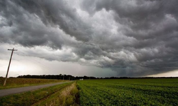 El titular del INTA Coronel Moldes destacó que los productores están entusiasmados con las lluvias