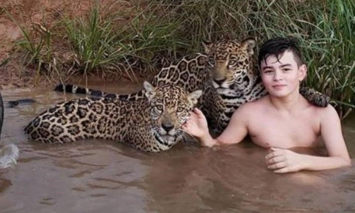 La historia del chico que se baña con los yaguaretés