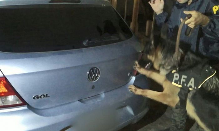 San Juan: Llevaban 110 kilos de marihuana escondida hasta en el último rincón de un auto