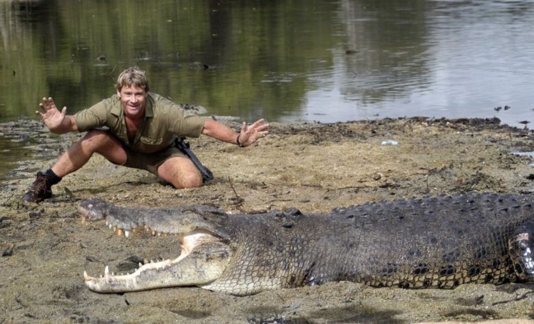 Steve Irwin: Google celebra el legado del reconocido "cazador de cocodrilos"