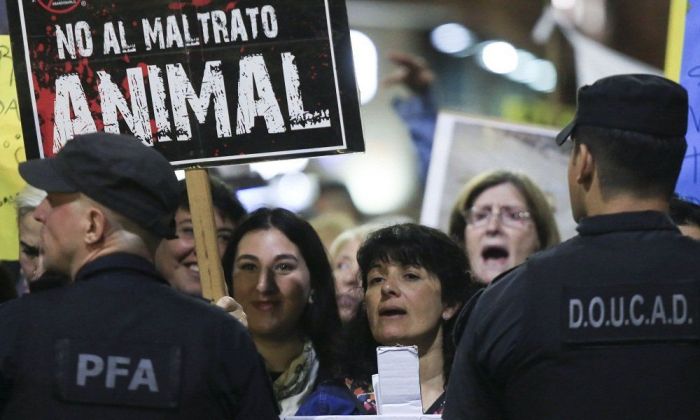 Córdoba se suma a la Marcha Internacional contra el Maltrato Animal