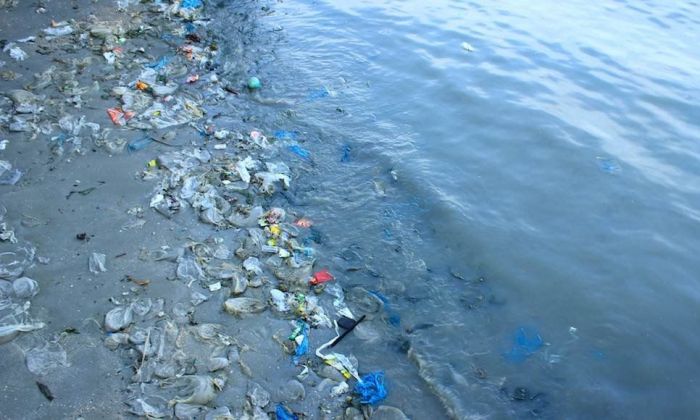 Los efectos de la 'plastiesfera': en 2050 el plástico del mar pesará más que todos los peces