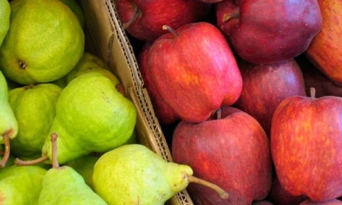 Brasil levantó la suspensión que pesaba sobre el ingreso de peras y manzanas argentinas