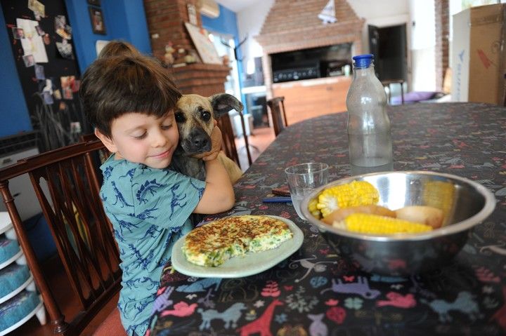 “Ma, no quiero comer más animales”: el desafío de médicos y padres con los chicos vegetarianos