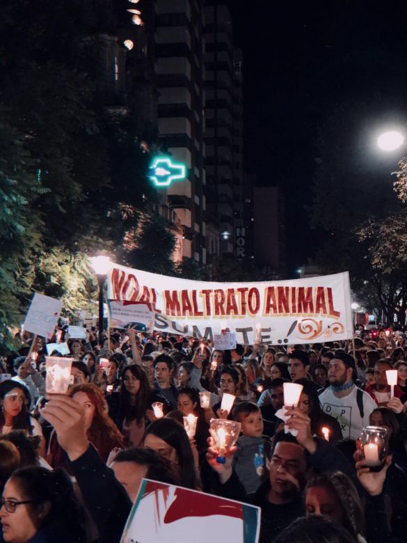 Una multitud marchó por las calles de la ciudad en defensa de los animales
