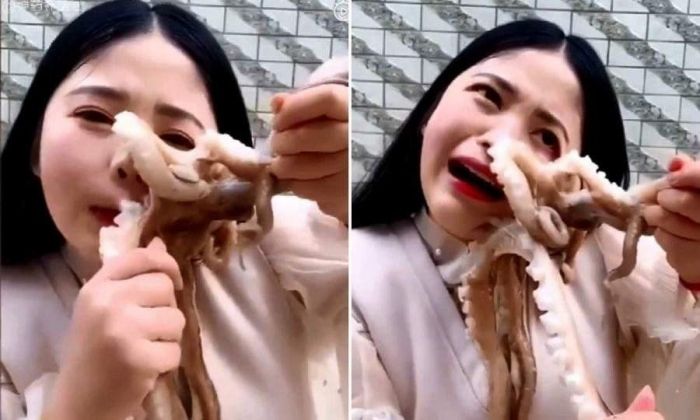 Una bloguera intentó comerse un pulpo vivo, pero el animal se defendió y el video se volvió viral