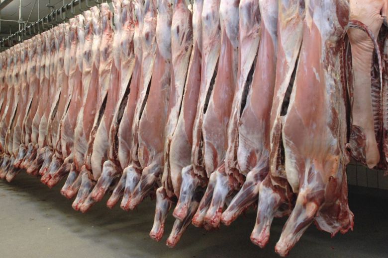 “Es impresionante las posibilidades de exportación de carne que nos está dando China”
