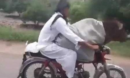 El insólito video de un hombre paseando en moto con una vaca