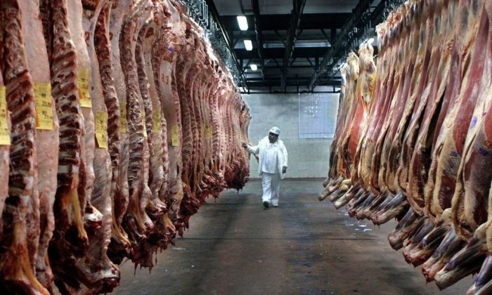 “Frigoríficos del sur de Córdoba están concretando trámites para exportar carne vacuna y promover puestos de trabajo”