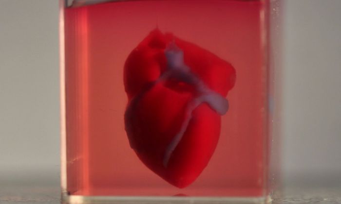 El primer corazón fabricado en impresora 3D y la revolución en el trasplante de órganos que se prepara en Israel