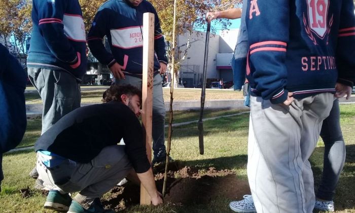 Alumnos de la Escuela de Agronomía plantaron árboles en la Plaza Olmos