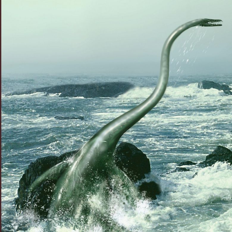Hallan el fósil de un «monstruo marino» de 15 toneladas en la Antártida