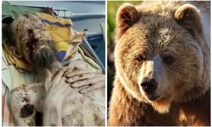 La historia de un hombre que vivió un mes atrapado en la guarida de un oso: "Me guardó como comida para el futuro"