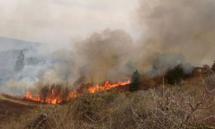 Bomberos de cuatro localidades combatieron un incendio en Alpa Corral