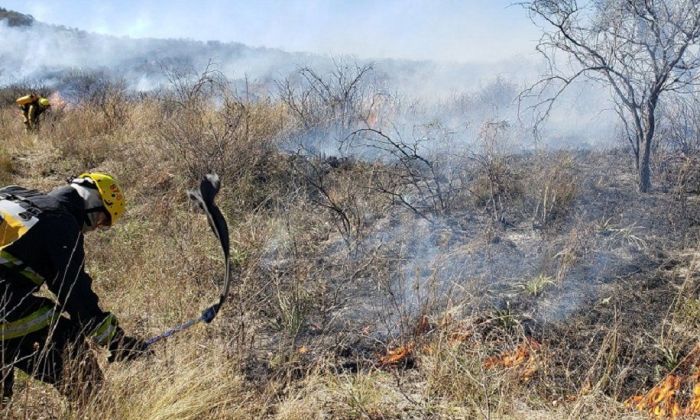 Varias dotaciones de bomberos intentan sofocar el incendio en La Granja