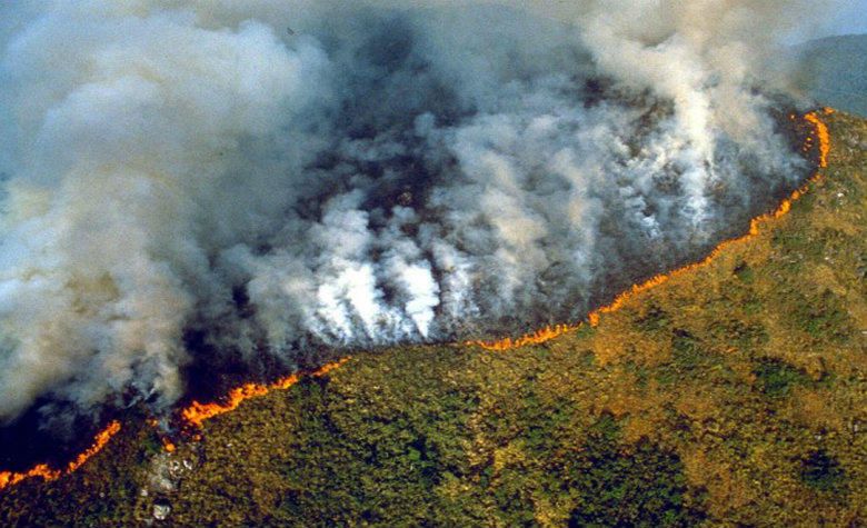 Jair Bolsonaro sugirió que las ONG están detrás de los incendios en el Amazonas