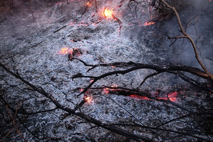 El gobierno de Brasil rechazó la ayuda del G7 para combatir los incendios en el Amazonas