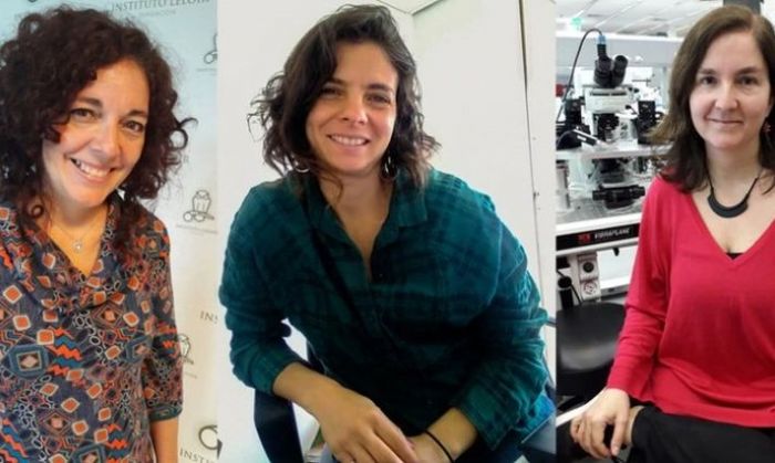 Tres científicas argentinas ganaron un prestigioso premio internacional por sus estudios en cáncer y memoria