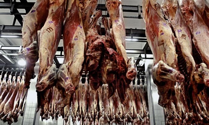 La Argentina se convirtió en el principal exportador de carne vacuna a China