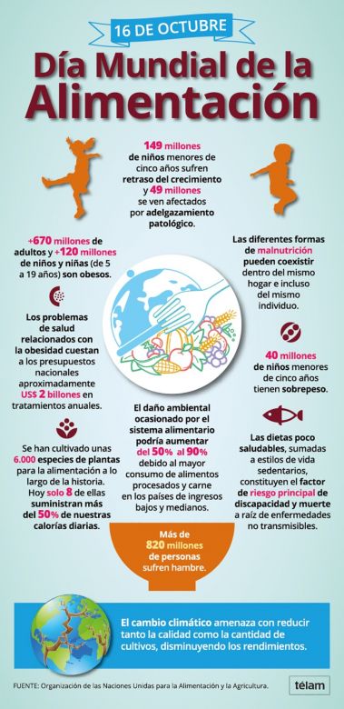 Casi dos de cada cinco adolescentes argentinos tienen sobrepeso, según Unicef