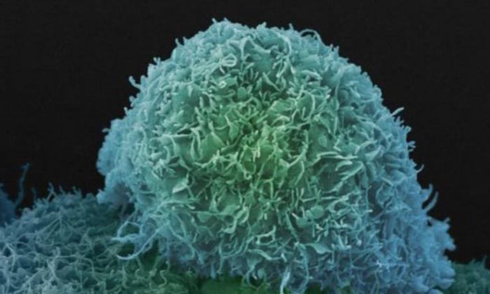 Cómo "nace" el cáncer: los que buscan las señales más precoces de la enfermedad