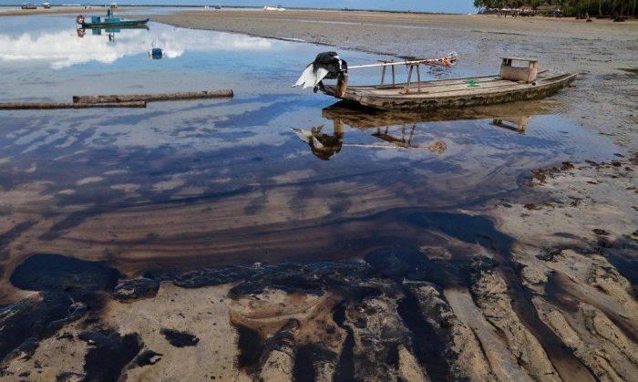 Petrobras confirmó que el petróleo derramado en Brasil proviene de tres campos venezolanos