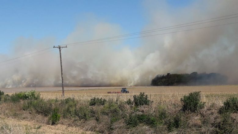Incendio de rastrojos de maíz en un campo cerca de Cuatro Vientos