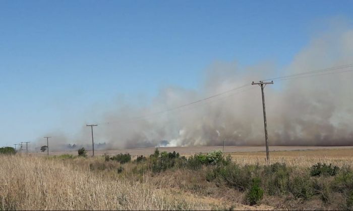 Incendio de rastrojos de maíz en un campo cerca de Cuatro Vientos