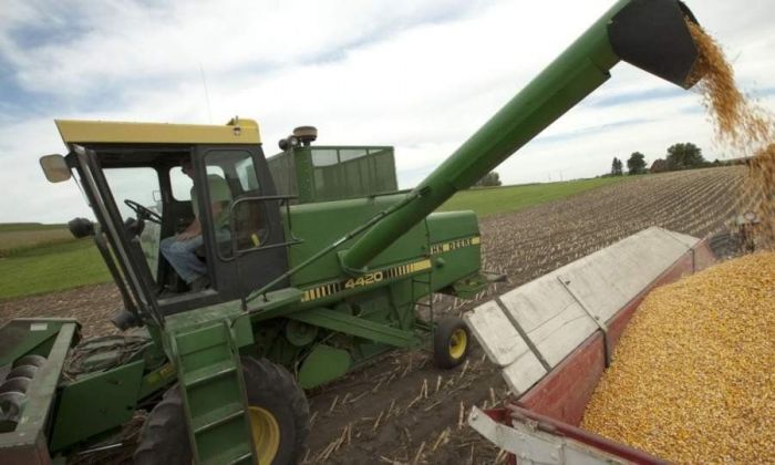 Argentina alcanzó un nuevo récord histórico en exportación de maíz