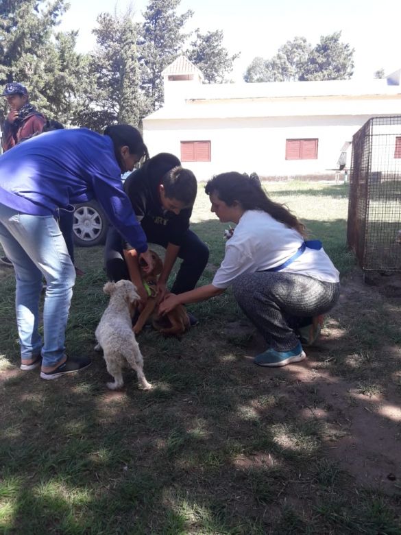 Alumnos y docentes de la UNRC realizaron vacunación antirrábica y censo canino en Cuatro Vientos