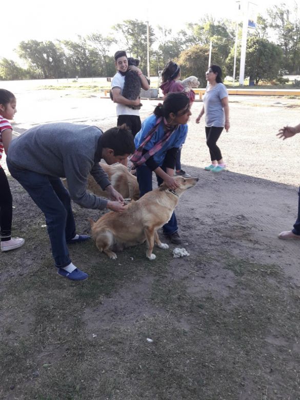 Alumnos y docentes de la UNRC realizaron vacunación antirrábica y censo canino en Cuatro Vientos