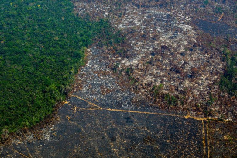 La Amazonia pierde 9.700 kilómetros cuadrados en un año, la mayor deforestación de la década