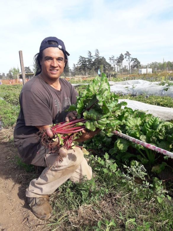 Tres años del programa Huerta Sustentable