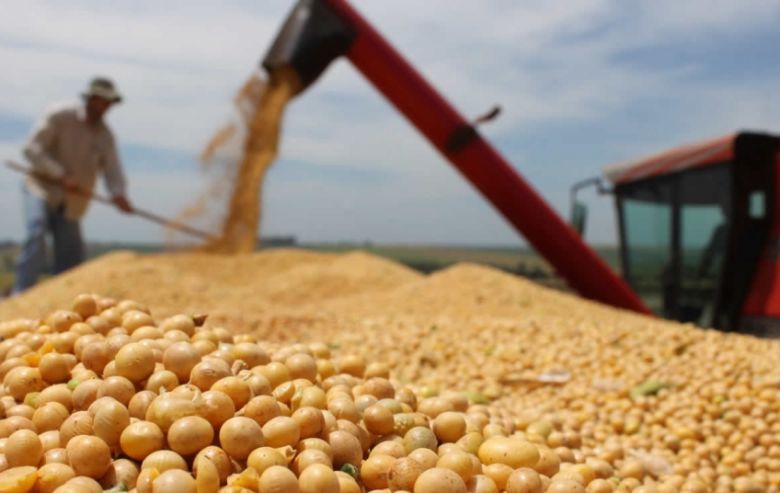 Los productores triplicaron la venta de soja y maíz 