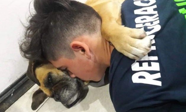 Una perra murió abrazada a su dueño mientras sufría por la pirotecnia