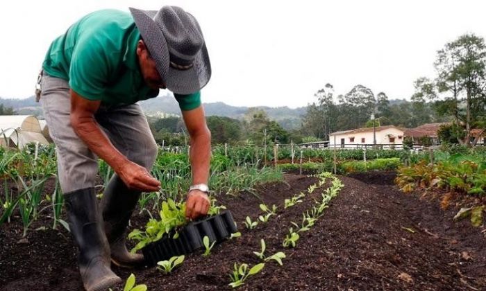 “La agroecología como política pública tiene que ser superadora para mejorar la alimentación de la población”