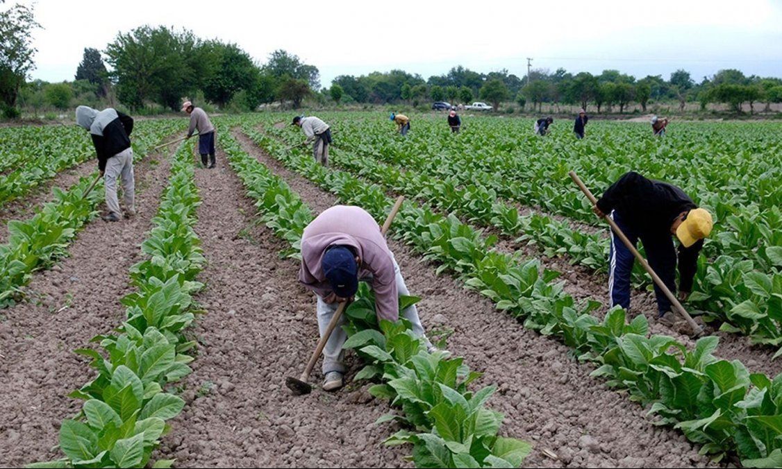 Renatre lanzó un programa con una base de datos de trabajadores rurales desocupados