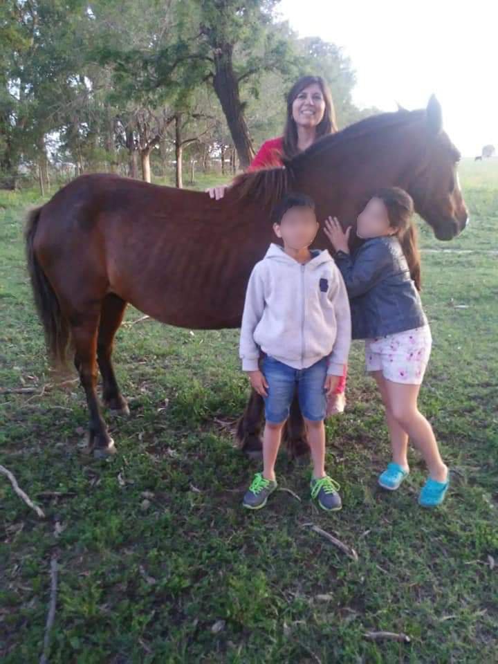 Un rayo mató dos caballos de equinoterapia en Huinca Renancó y no saben qué decirles a chicos que los montaban