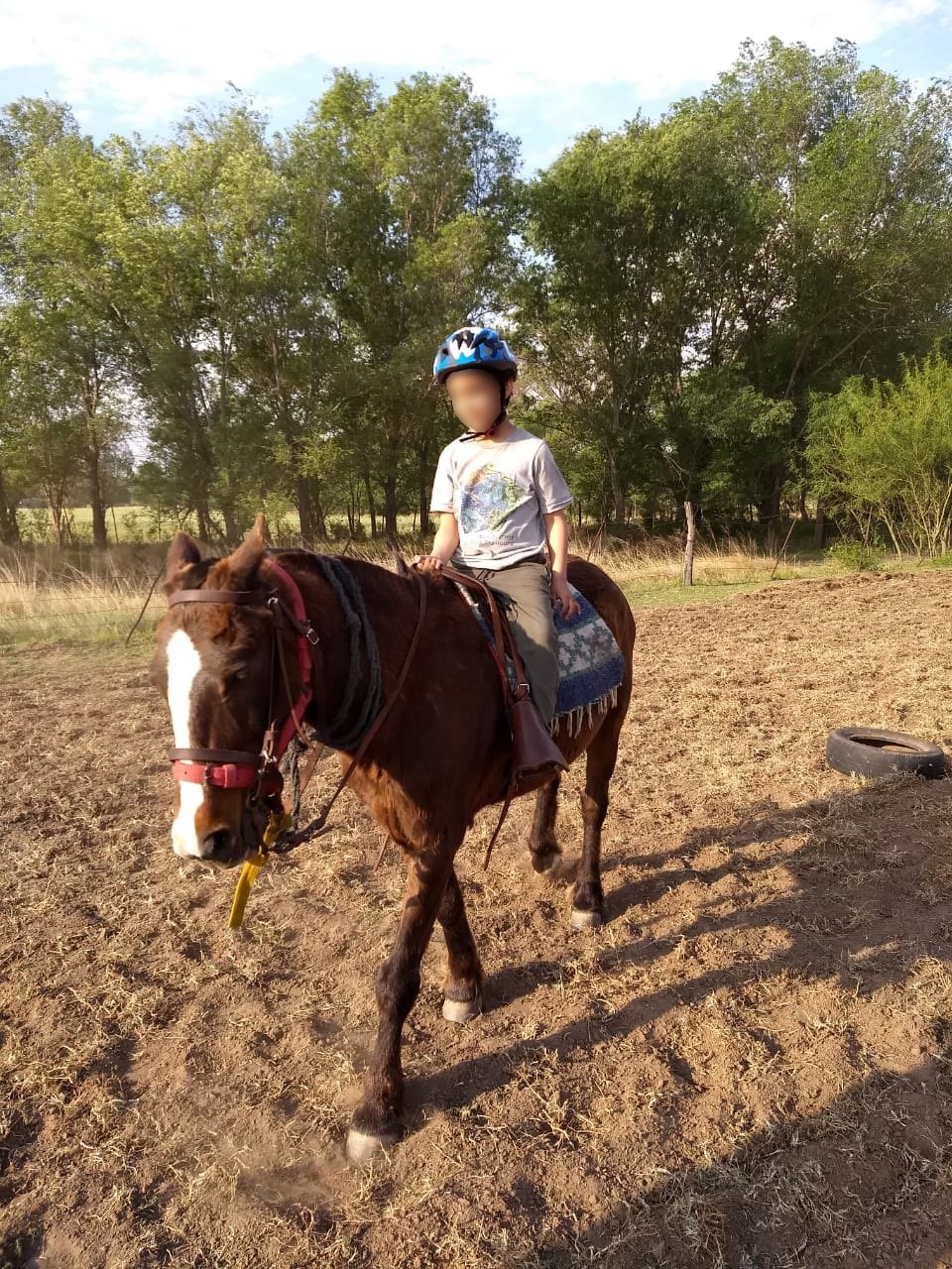 Un rayo mató dos caballos de equinoterapia en Huinca Renancó y no saben qué decirles a chicos que los montaban