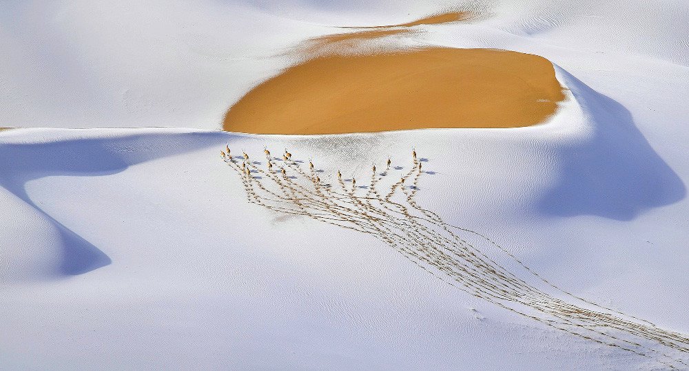 Nómadas de la meseta nevada
