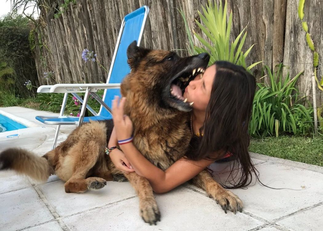 La  'selfie' con un perro que no salió como esperaba