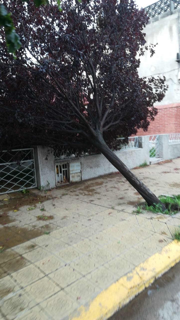 Intensa tormenta provoca daños en Villa Mercedes 