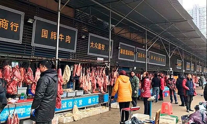 Animales exóticos sacrificados en el momento: el mercado chino donde nació el brote de coronavirus