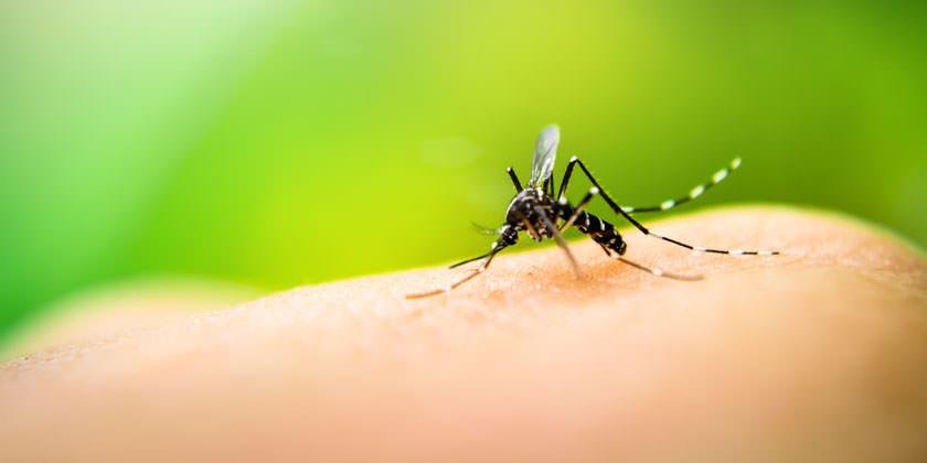 Con tareas de concientización buscan prevenir el dengue