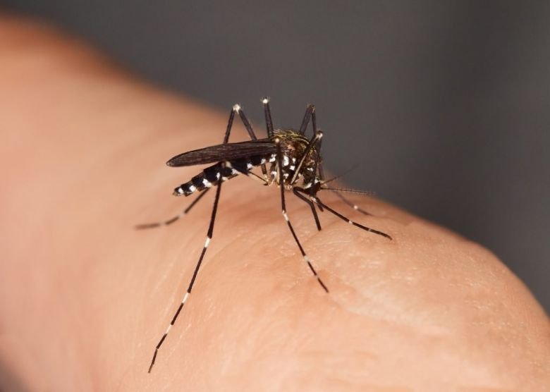 El Municipio insistió en que la gente se preocupe más por el dengue que por el Coronavirus