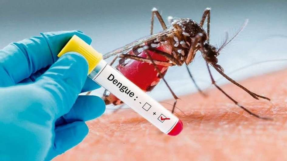 Caso positivo de dengue importado en Huinca Renancó